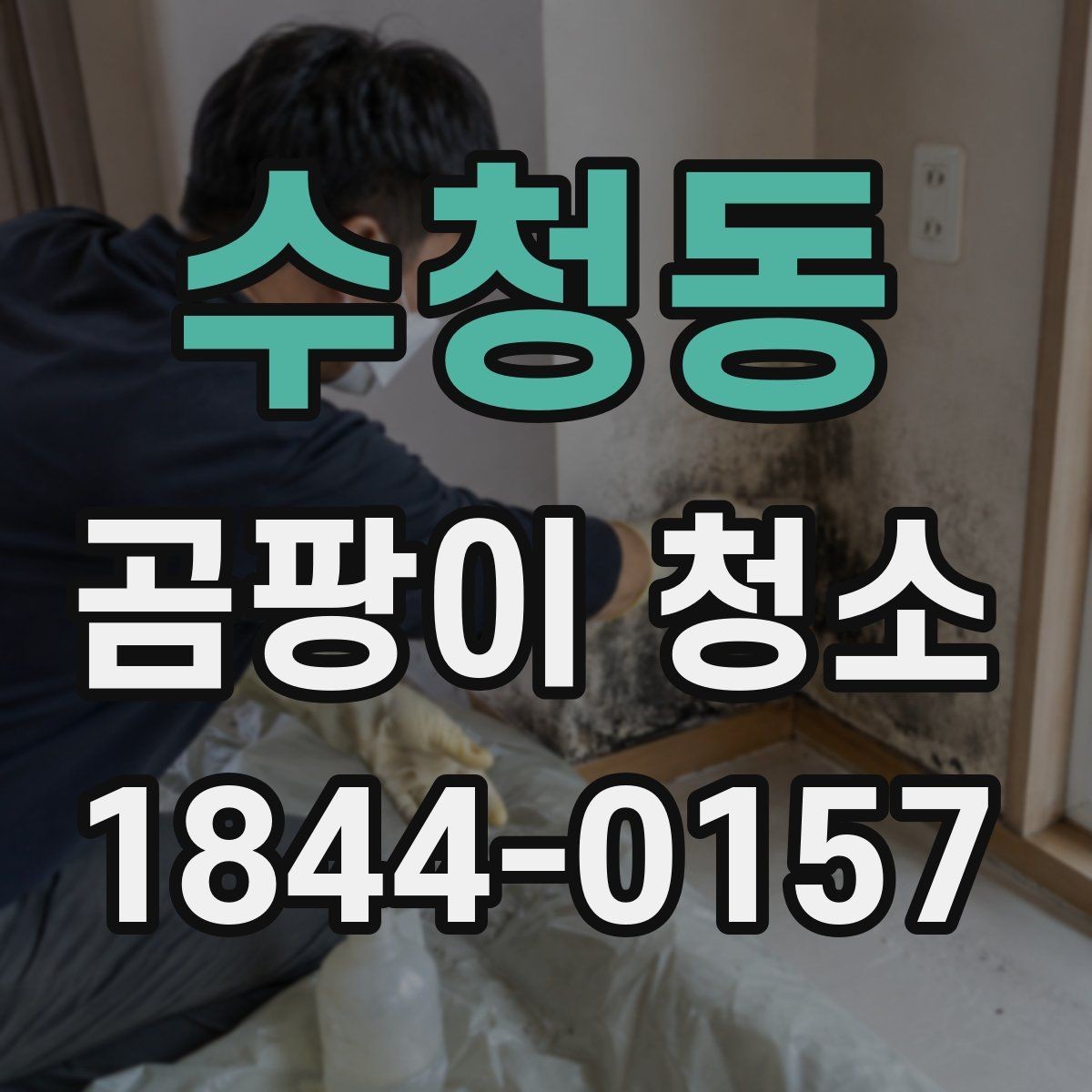 수청동 곰팡이 청소 환기 부족한 방에서 먼저 볼 항목