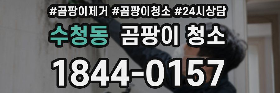 수청동 곰팡이 청소