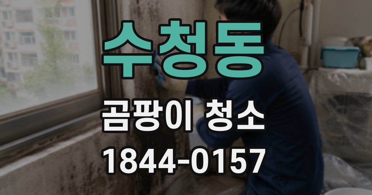수청동 곰팡이 청소