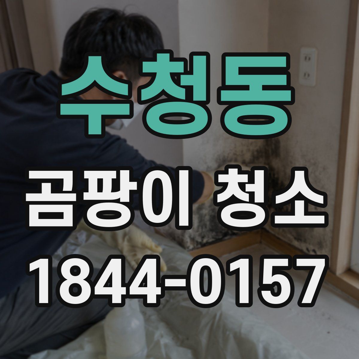 수청동 곰팡이 청소
