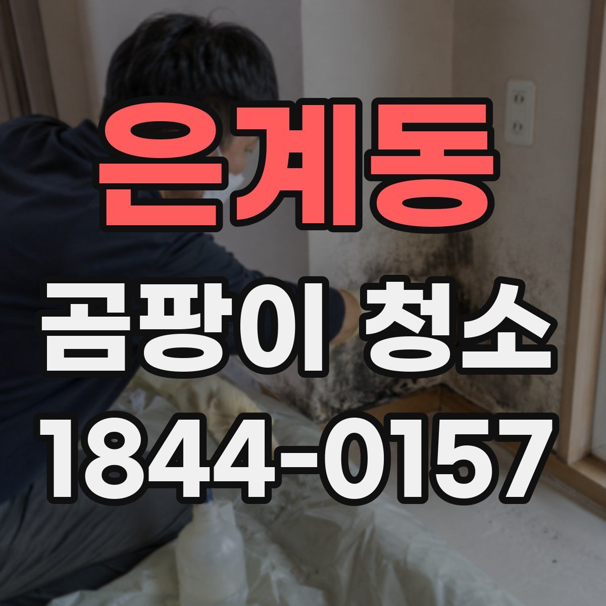 은계동 곰팡이 청소