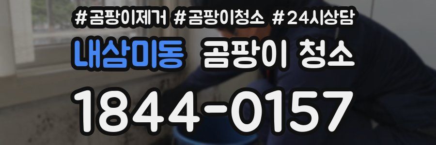 내삼미동 곰팡이 청소