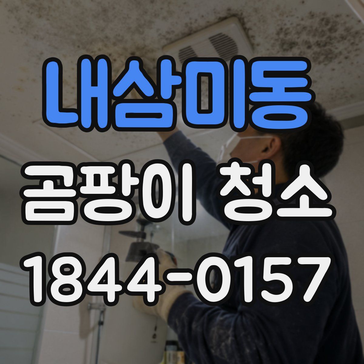 내삼미동 곰팡이 청소