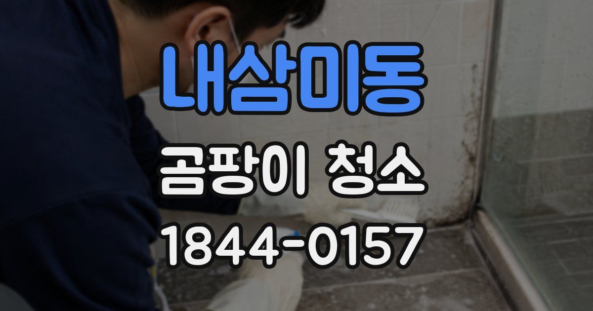 내삼미동 곰팡이 청소