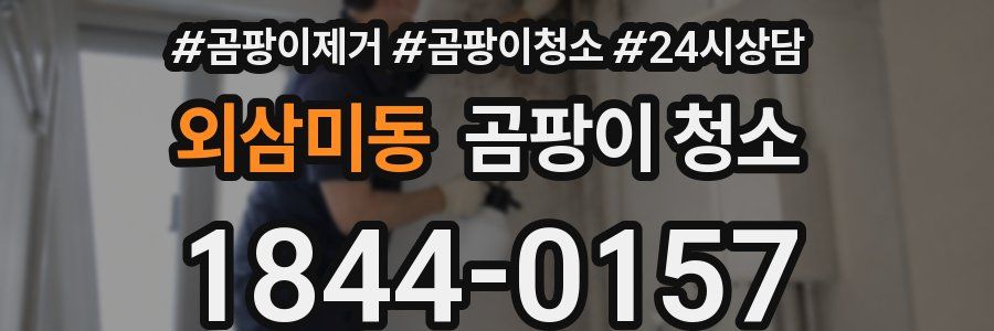 외삼미동 곰팡이 청소