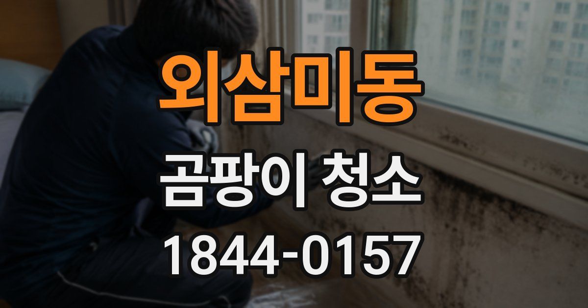 외삼미동 곰팡이 청소