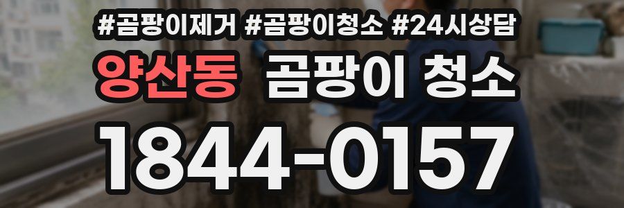 양산동 곰팡이 청소