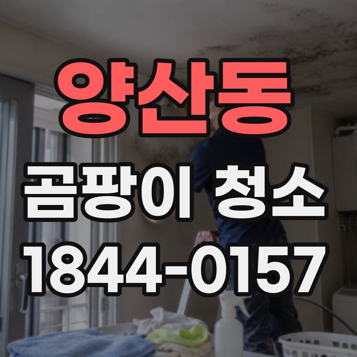 양산동 곰팡이 청소