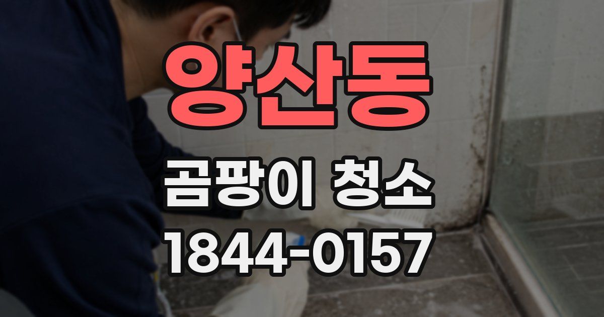 양산동 곰팡이 청소