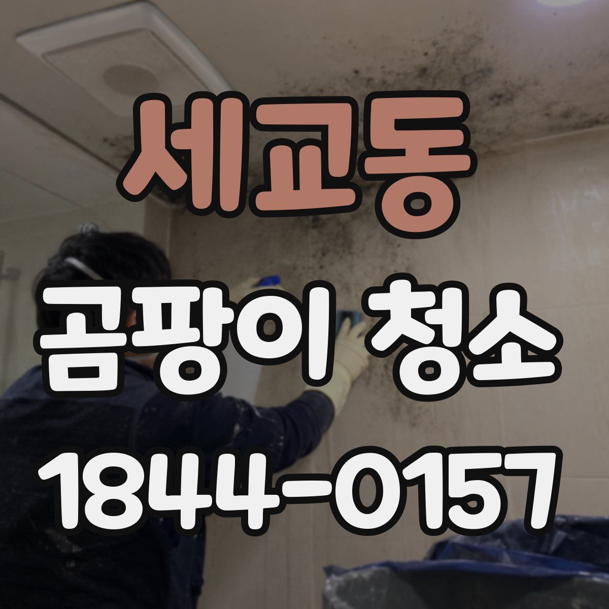 세교동 곰팡이 청소