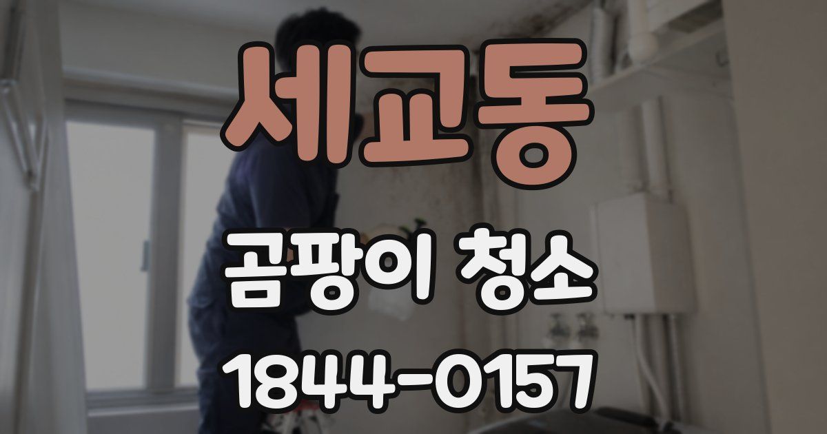 세교동 곰팡이 청소