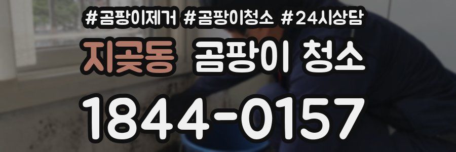 지곶동 곰팡이 청소