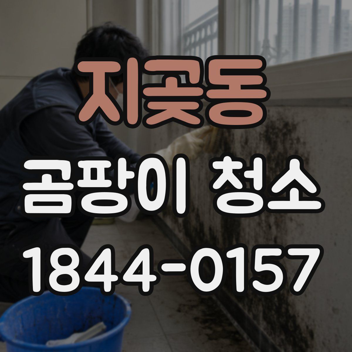 지곶동 곰팡이 청소