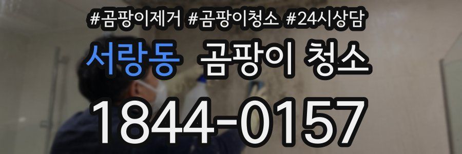 서랑동 곰팡이 청소