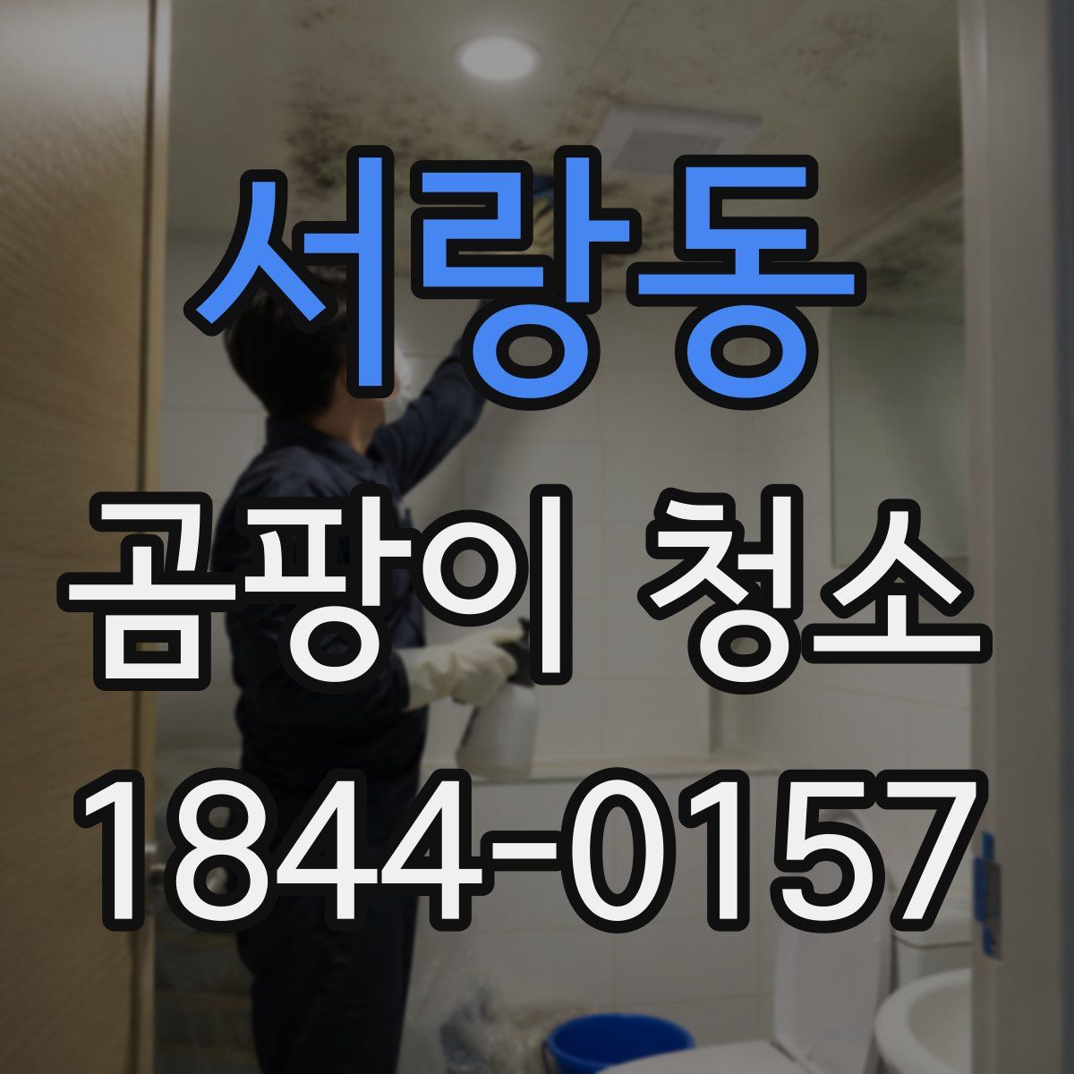 서랑동 곰팡이 청소