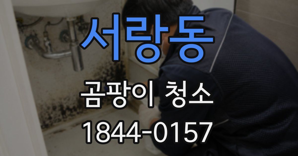 서랑동 곰팡이 청소