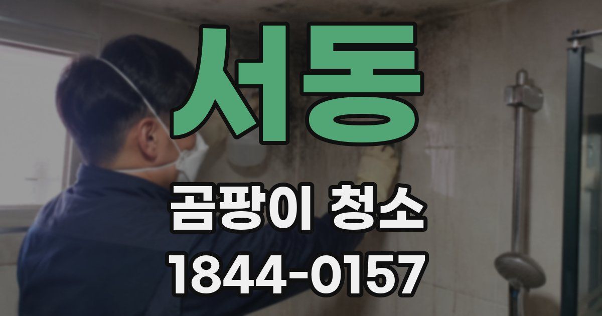 서동 곰팡이 청소