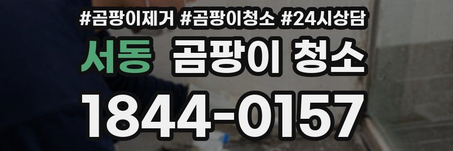 서동 곰팡이 청소