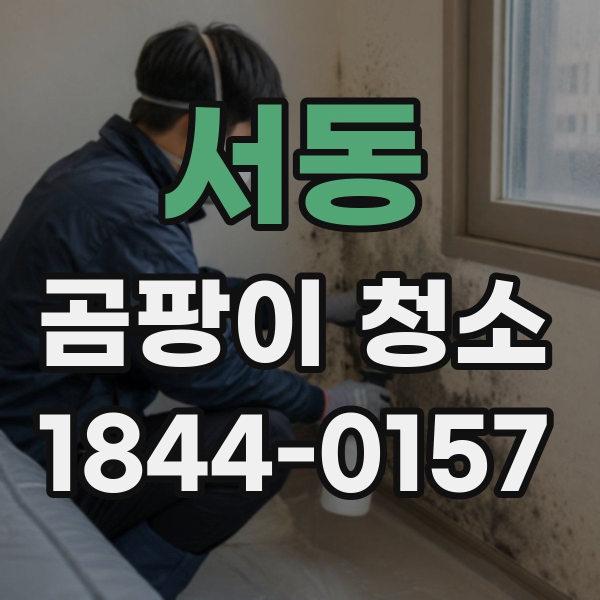 서동 곰팡이 청소