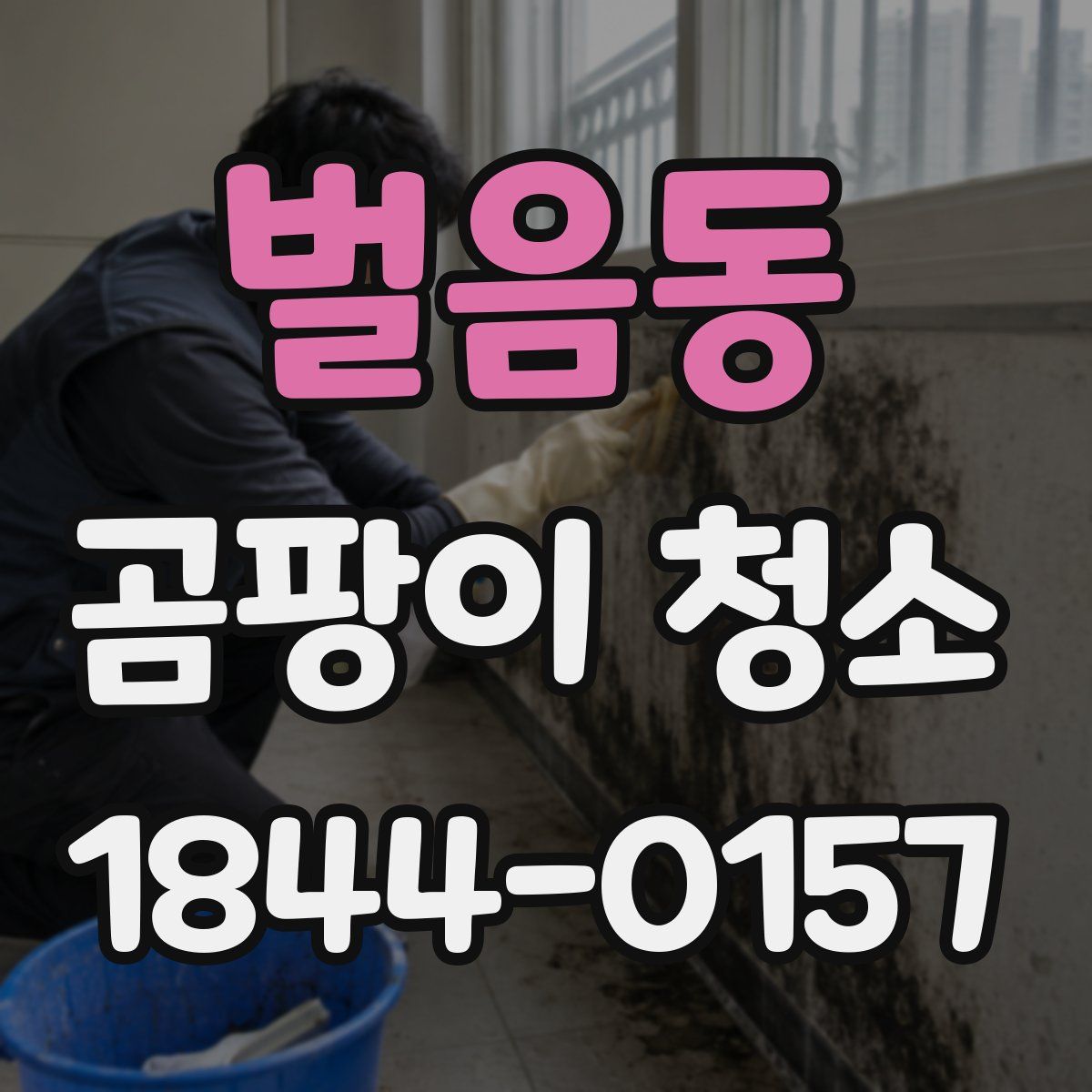 벌음동 곰팡이 청소