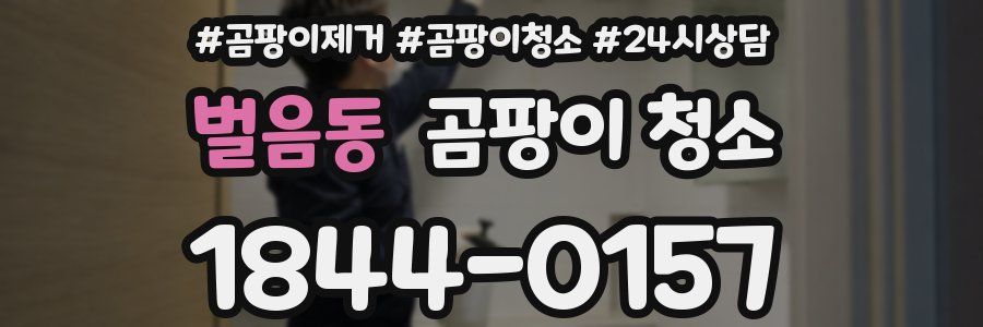 벌음동 곰팡이 청소