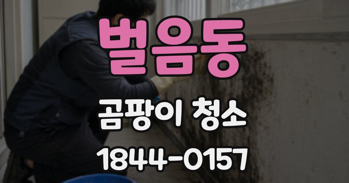 벌음동 곰팡이 청소
