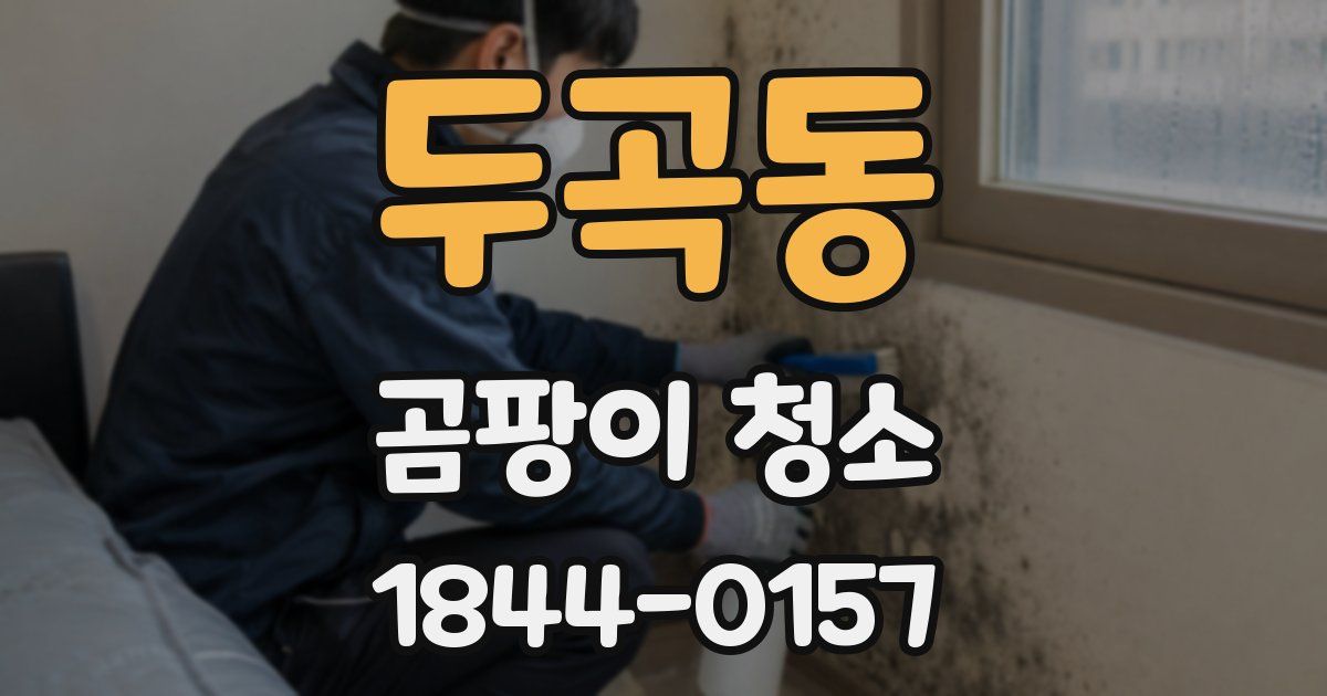 두곡동 곰팡이 청소