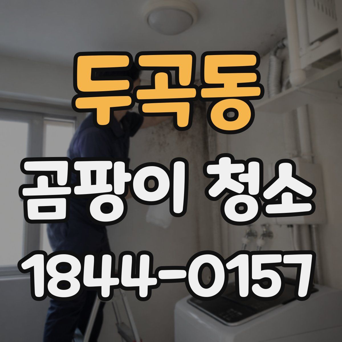 두곡동 곰팡이 청소