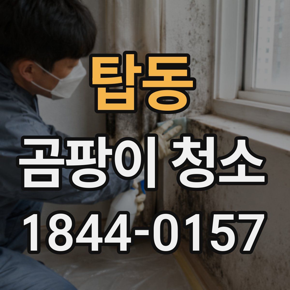 탑동 곰팡이 청소