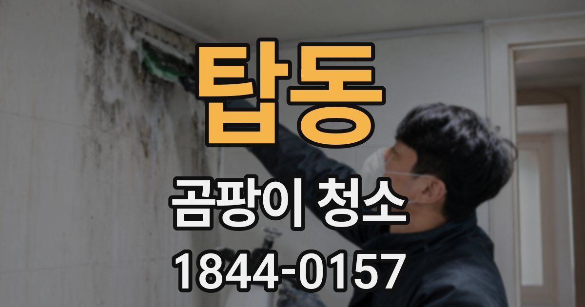 탑동 곰팡이 청소