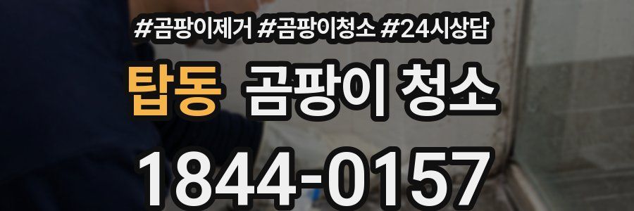 탑동 곰팡이 청소