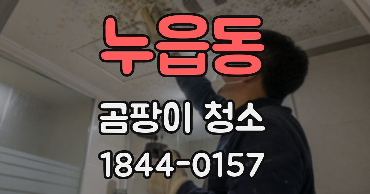 누읍동 곰팡이 청소