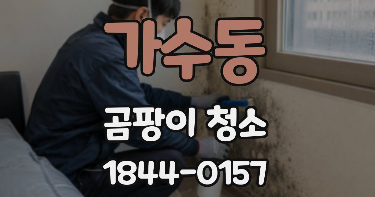 가수동 곰팡이 청소