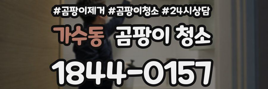 가수동 곰팡이 청소