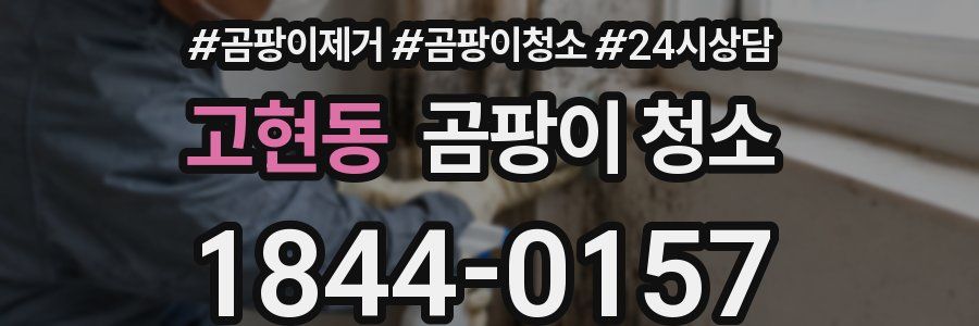 고현동 곰팡이 청소
