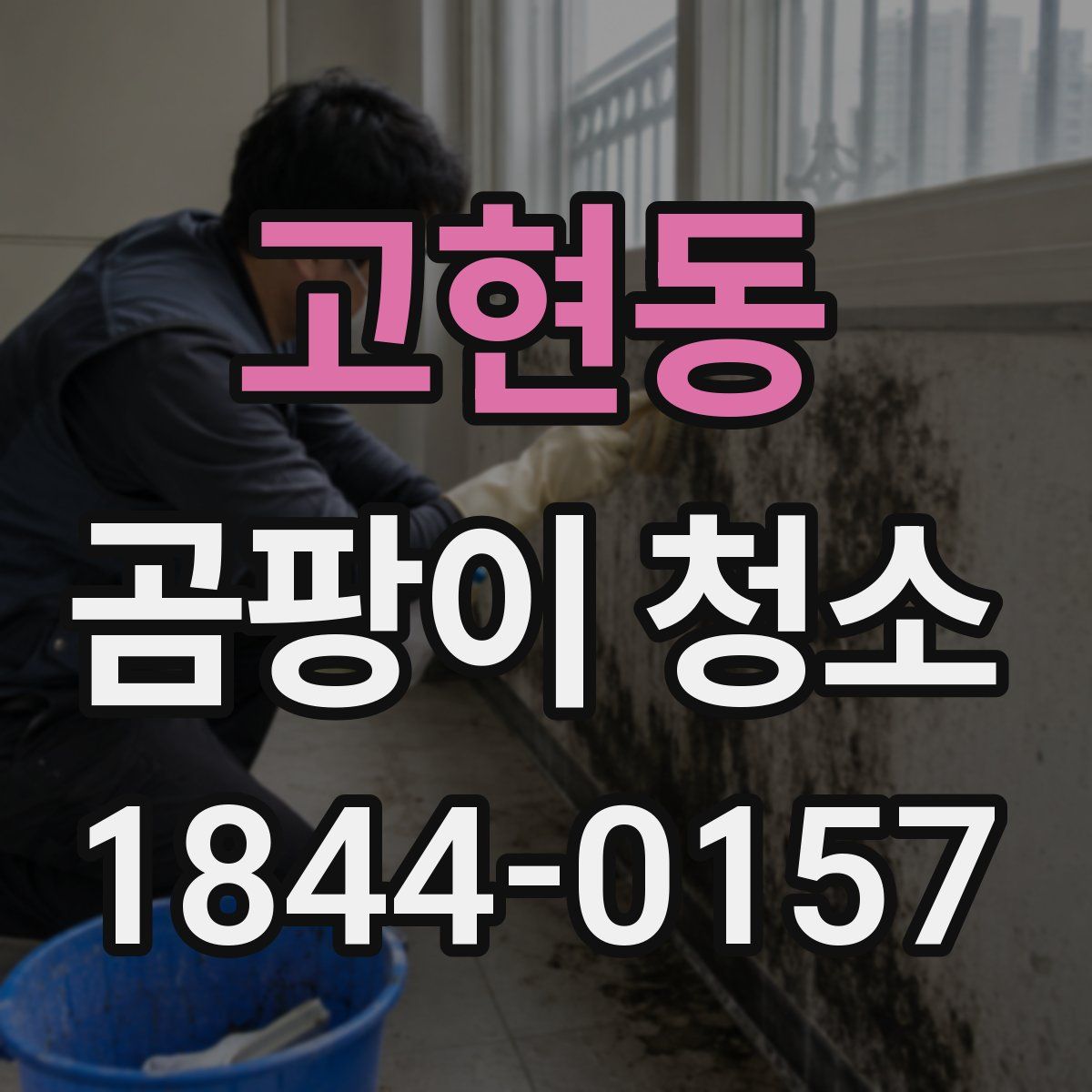 고현동 곰팡이 청소