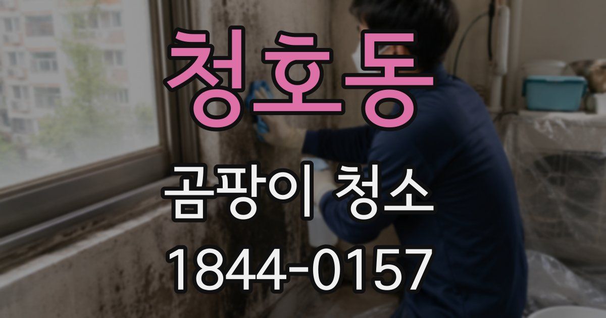 청호동 곰팡이 청소