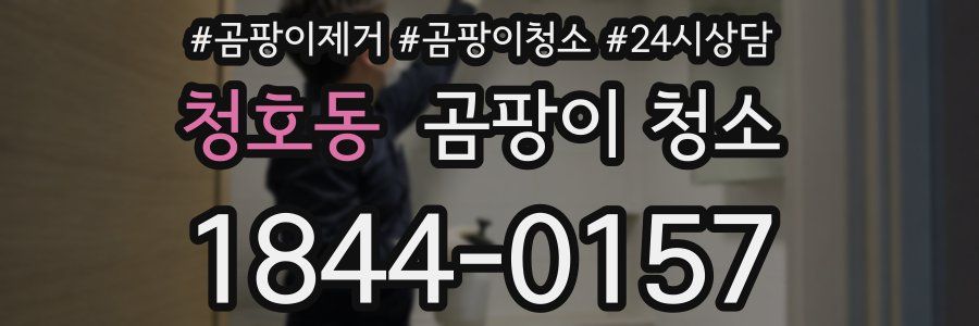 청호동 곰팡이 청소