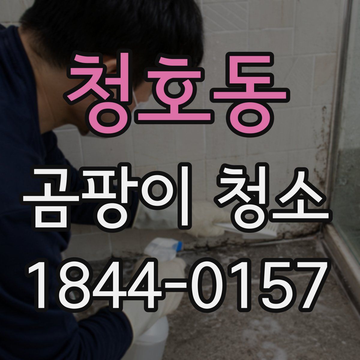 청호동 곰팡이 청소