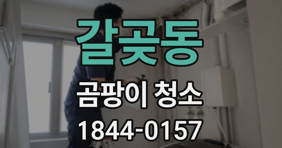 갈곶동 곰팡이 청소