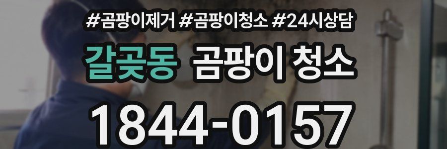 갈곶동 곰팡이 청소