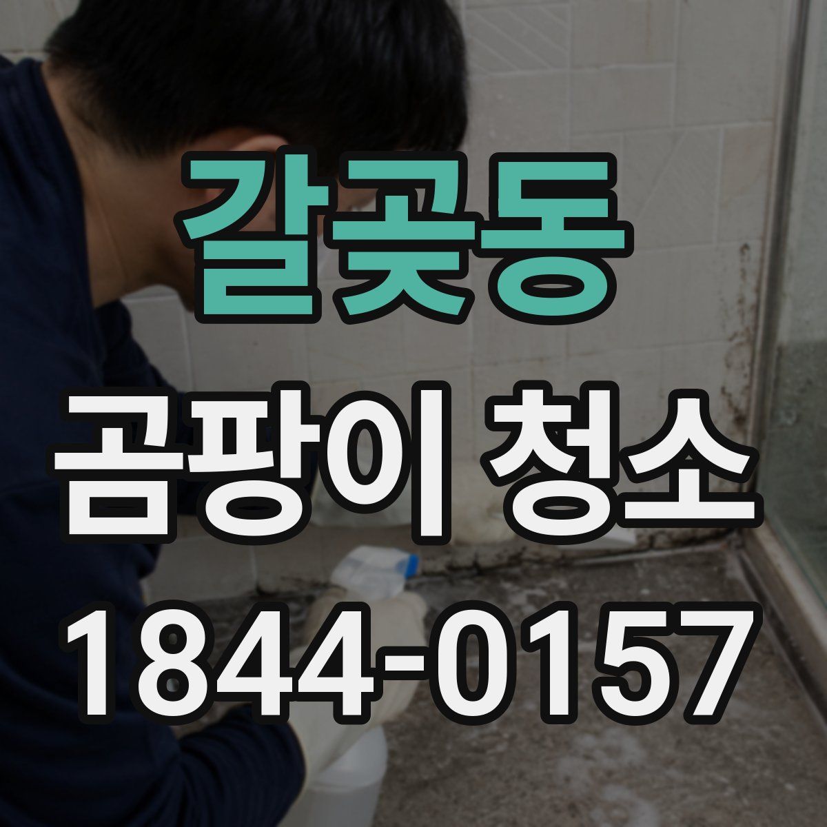 갈곶동 곰팡이 청소
