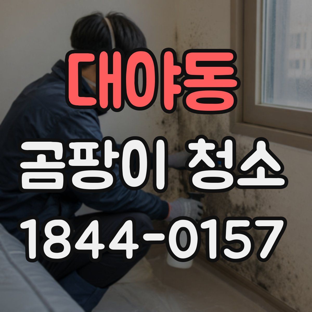 대야동 곰팡이 청소