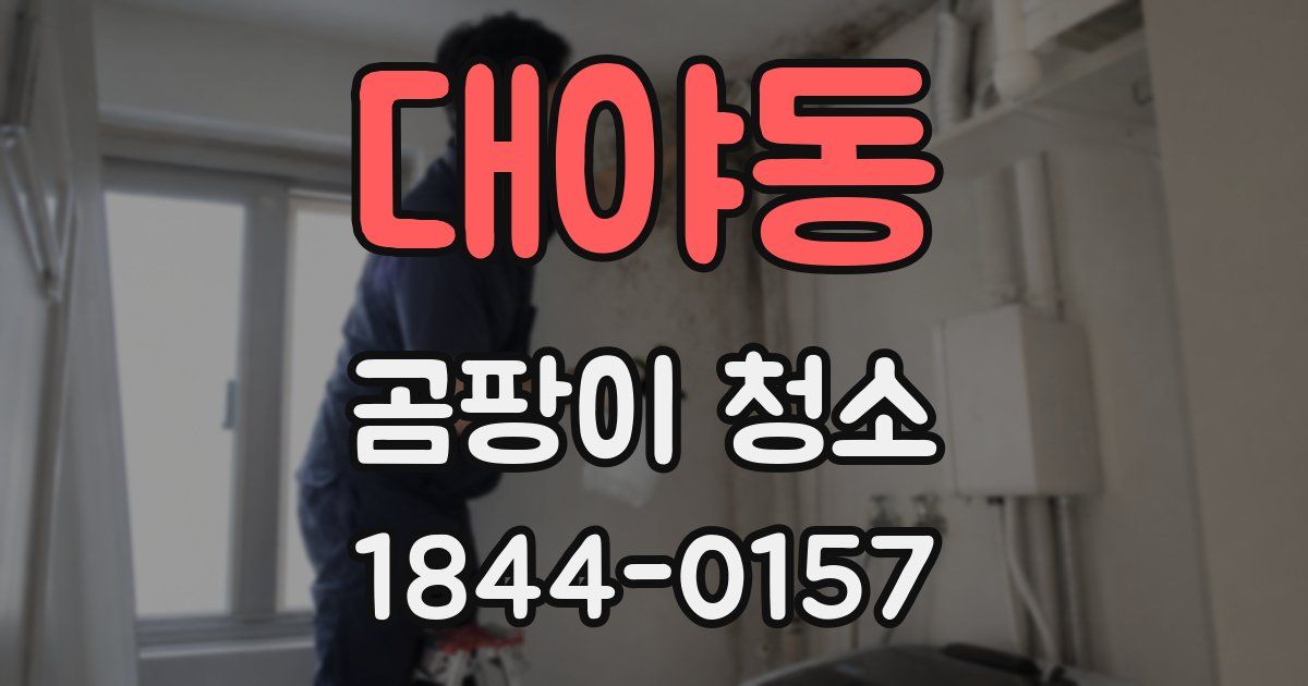 대야동 곰팡이 청소