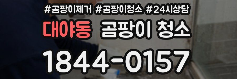 대야동 곰팡이 청소