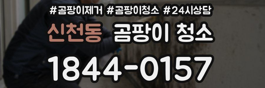 신천동 곰팡이 청소