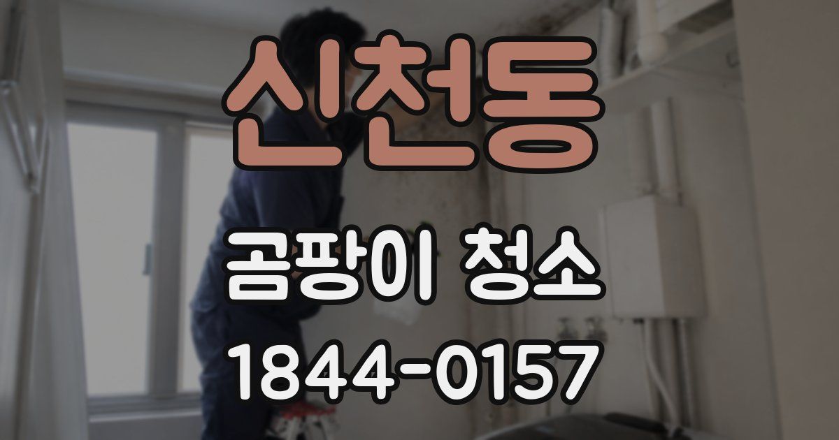 신천동 곰팡이 청소