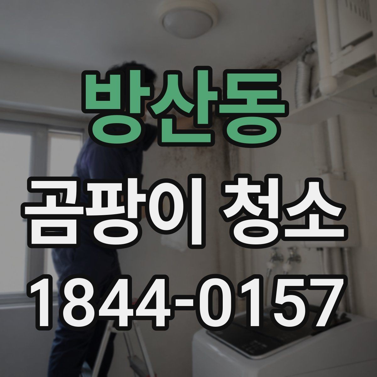 방산동 곰팡이 청소 전 번식 원인부터 살펴보는 점검 포인트