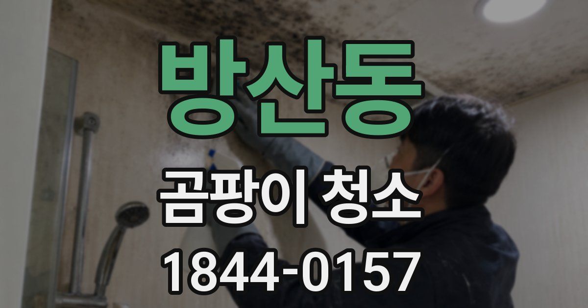 방산동 곰팡이 청소