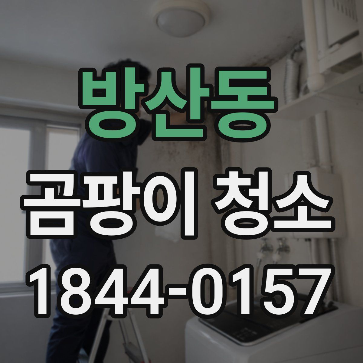 방산동 곰팡이 청소